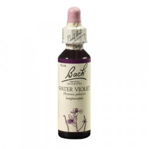 Produktbild von BACHBL&Uuml;TEN Water Violet Tropfen