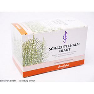 Produktbild von SCHACHTELHALMKRAUT Tee Filterbeutel